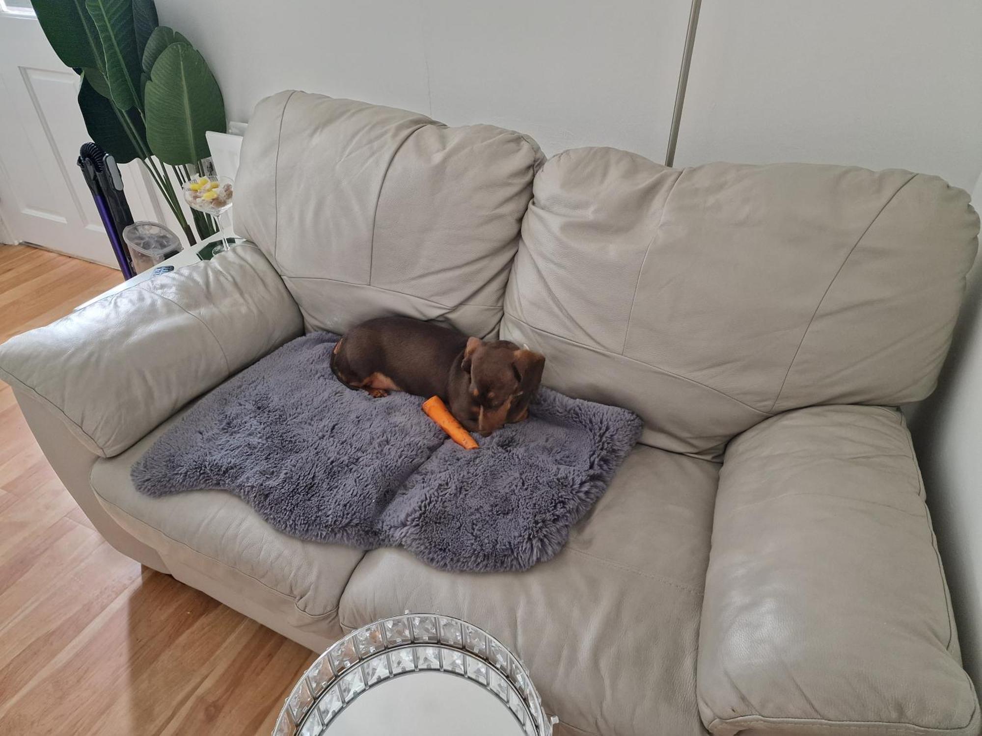 Хостел Aunty Katie'S House, Ni Tourist Board Certified & Located On The Main Oldpark Road To Belfast, With Free Continental Breakfast & Free Ultra Fast Sky Internet, Free Sky Sports & Free Sky Cinema, Self-Check In After 10Pm Gmt Экстерьер фото